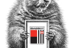 世界10大顶级自行车品牌排行榜单MARMOT土拨鼠最好山地车2025年6月5日世界10大名车排行榜