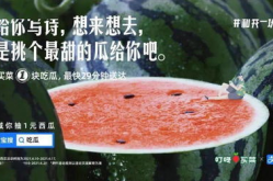 娱乐圈文案吃瓜,揭秘明星们的“吃瓜”大作战