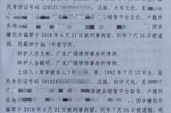 段和段最厉害三个律师是谁,高飞、林清红律师领衔法律精英团队