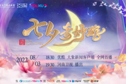 七夕娱乐版,年度爱情主题节目大盘点