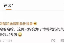 娱乐网吃瓜名单,最新吃瓜名单曝光，明星动态大揭秘！