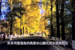 娱乐吃瓜君黄山,揭秘娱乐圈背后的那些事儿