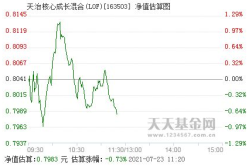 天治核心成长基金,稳健成长策略下的投资典范
