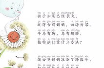植物妈妈有办法ppt,植物妈妈传播种子的智慧之旅