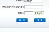 电子警察交通违章查询,实时掌握违章信息，守护行车安全