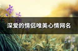 唯美情侣网名,浪漫邂逅的甜蜜印记