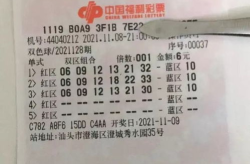 双色球开奖结果查询果,红蓝球号码走势与中奖策略