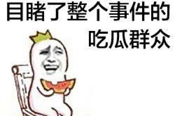 娱乐圈吃瓜群众的简介,揭秘明星幕后故事与八卦风云